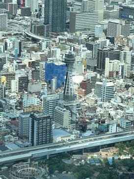 ハルカス300(展望台)に投稿された画像（2023/7/29）