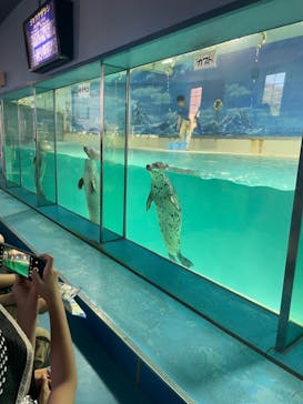 下田海中水族館に投稿された画像（2023/7/29）