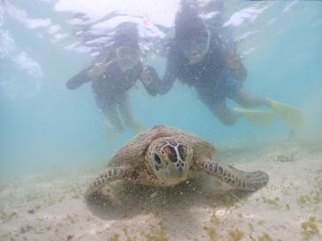 タビワク　宮古島に投稿された画像（2023/7/29）