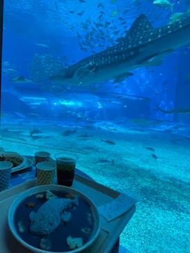 沖縄美ら海水族館に投稿された画像（2023/7/29）