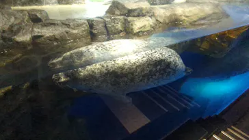 マクセル アクアパーク品川に投稿された画像（2023/7/29）