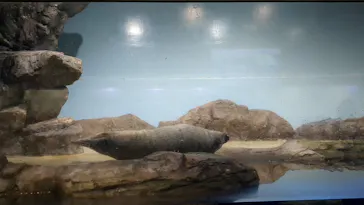 マクセル アクアパーク品川に投稿された画像（2023/7/29）