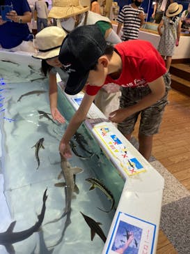 南知多ビーチランド＆南知多おもちゃ王国に投稿された画像（2023/7/29）