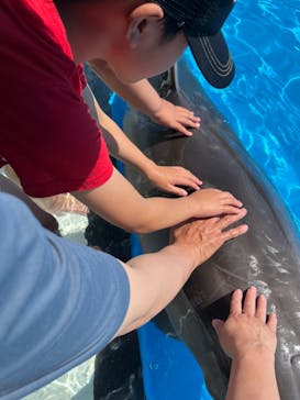 南知多ビーチランド＆南知多おもちゃ王国に投稿された画像（2023/7/29）