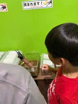 南知多ビーチランド＆南知多おもちゃ王国に投稿された画像（2023/7/29）