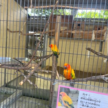 淡路ファームパーク イングランドの丘に投稿された画像（2023/7/29）