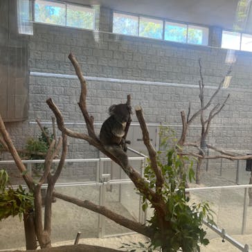 淡路ファームパーク イングランドの丘に投稿された画像（2023/7/29）