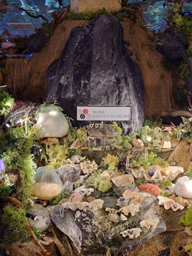 NARA KINGYO MUSEUMに投稿された画像（2023/7/29）