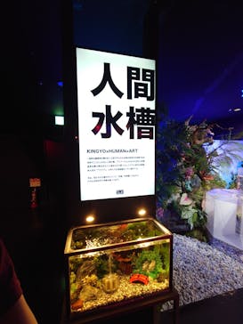 NARA KINGYO MUSEUMに投稿された画像（2023/7/29）