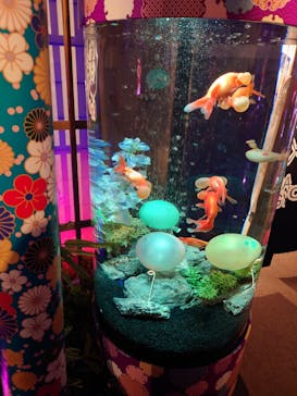 NARA KINGYO MUSEUMに投稿された画像（2023/7/29）