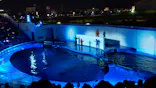 仙台うみの杜水族館に投稿された画像（2023/7/30）
