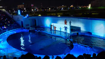 仙台うみの杜水族館に投稿された画像（2023/7/29）