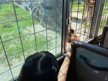 那須サファリパークに投稿された画像（2023/7/29）
