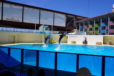 伊豆・三津シーパラダイスに投稿された画像（2023/7/29）