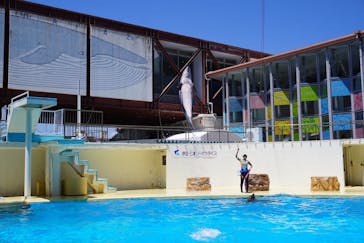 伊豆・三津シーパラダイスに投稿された画像（2023/7/29）