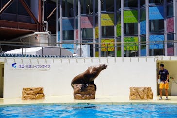 伊豆・三津シーパラダイスに投稿された画像（2023/7/29）