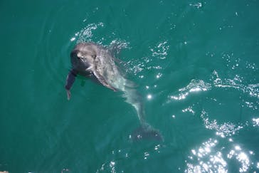 伊豆・三津シーパラダイスに投稿された画像（2023/7/29）