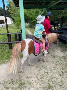 那須高原りんどう湖ファミリー牧場に投稿された画像（2023/7/29）