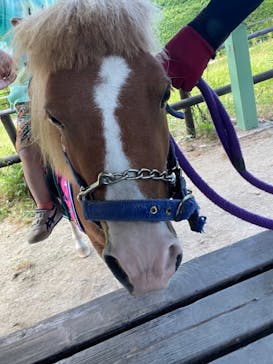 那須高原りんどう湖ファミリー牧場に投稿された画像（2023/7/29）