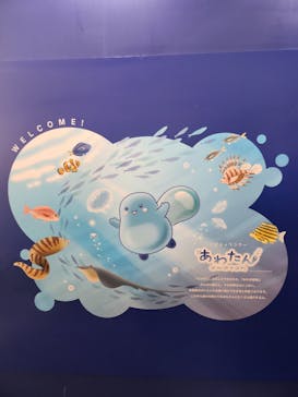 新江ノ島水族館に投稿された画像（2023/7/29）
