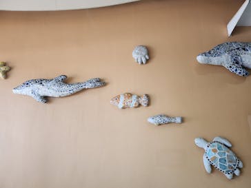 新江ノ島水族館に投稿された画像（2023/7/29）