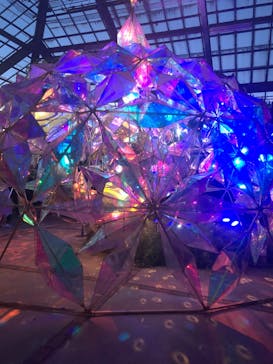 京成バラ園に投稿された画像（2023/7/29）