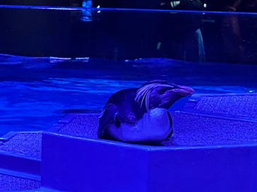 AOAO SAPPOROに投稿された画像（2023/7/30）