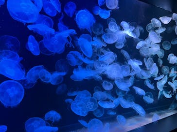 AOAO SAPPOROに投稿された画像（2023/7/30）