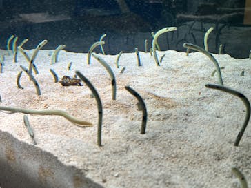 AOAO SAPPOROに投稿された画像（2023/7/30）