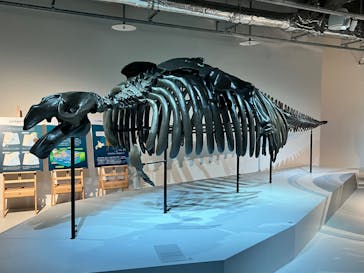 AOAO SAPPOROに投稿された画像（2023/7/30）