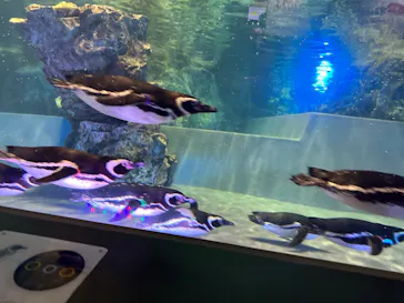 すみだ水族館に投稿された画像（2023/7/30）