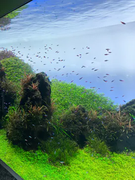 すみだ水族館に投稿された画像（2023/7/30）