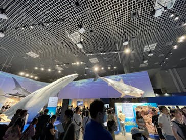 特別展「海　―生命のみなもと―」（国立科学博物館）に投稿された画像（2023/7/30）