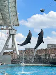 名古屋港水族館に投稿された画像（2023/7/30）
