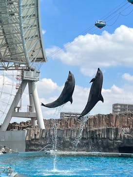 名古屋港水族館に投稿された画像（2023/7/30）