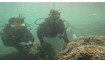 武藤潜水に投稿された画像（2023/7/30）