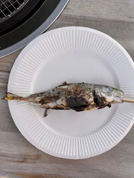 横浜・八景島シーパラダイスに投稿された画像（2023/7/30）