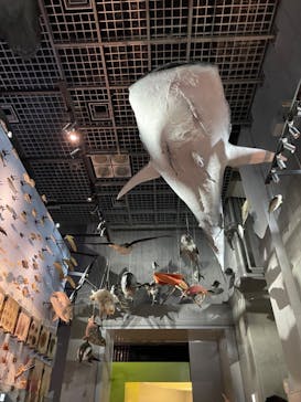 国立科学博物館に投稿された画像（2023/7/30）