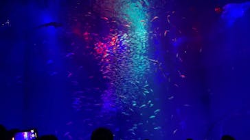 アクアワールド茨城県大洗水族館に投稿された画像（2023/7/30）