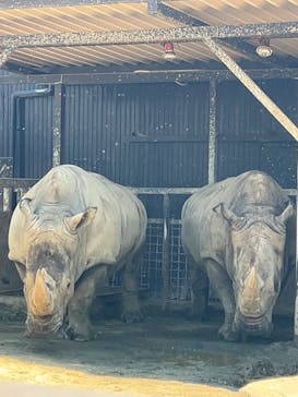 那須サファリパークに投稿された画像（2023/7/30）