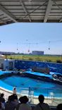 仙台うみの杜水族館に投稿された画像（2023/7/30）