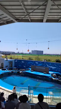 仙台うみの杜水族館に投稿された画像（2023/7/30）