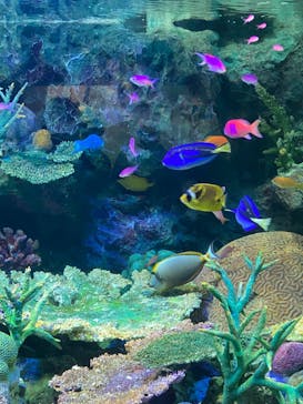 サンシャイン水族館に投稿された画像（2023/7/30）