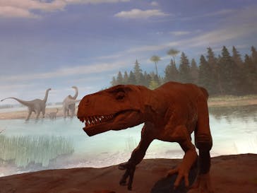 福井県立恐竜博物館に投稿された画像（2023/7/30）