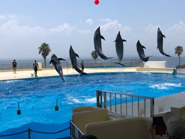 マリンワールド海の中道に投稿された画像（2023/7/30）