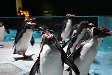 AOAO SAPPOROに投稿された画像（2023/7/30）