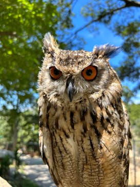 しろとり動物園に投稿された画像（2023/7/30）