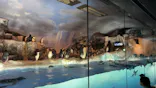 名古屋港水族館に投稿された画像（2023/7/30）