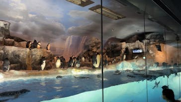 名古屋港水族館に投稿された画像（2023/7/30）