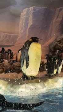 名古屋港水族館に投稿された画像（2023/7/30）